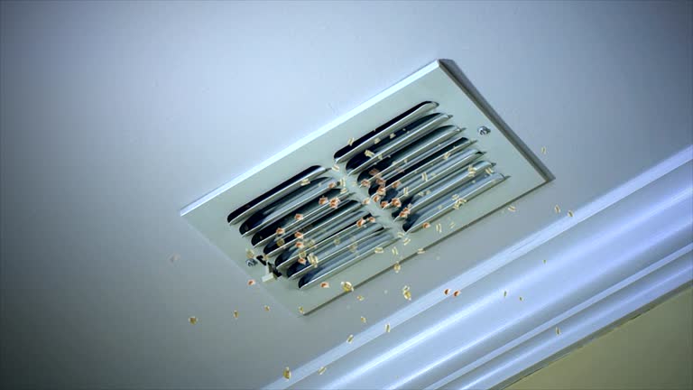 Best HVAC Duct Inspection Services  in Frisco, TX