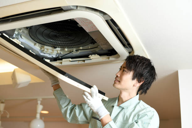 Best Home Air Vent Cleaning  in Frisco, TX